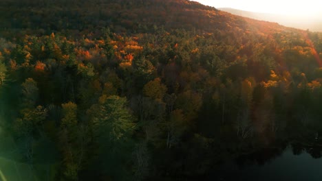 sunset sun flare as drone flies over the catskills with forest canopy in fall foliage - beautiful orange treetop colors of appalachian mountains