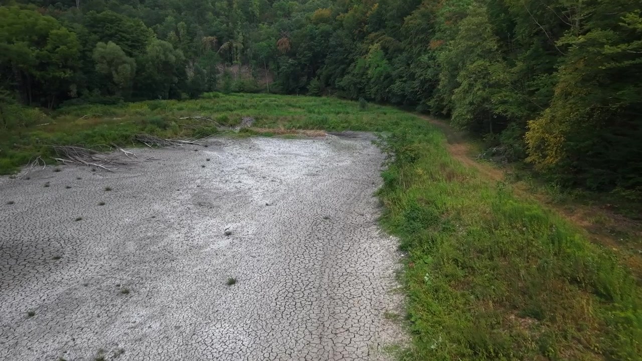 A high-angle shot displays a completely dried-up pond with cracked earth surrounded by a dense, vibrant green forest landscape.