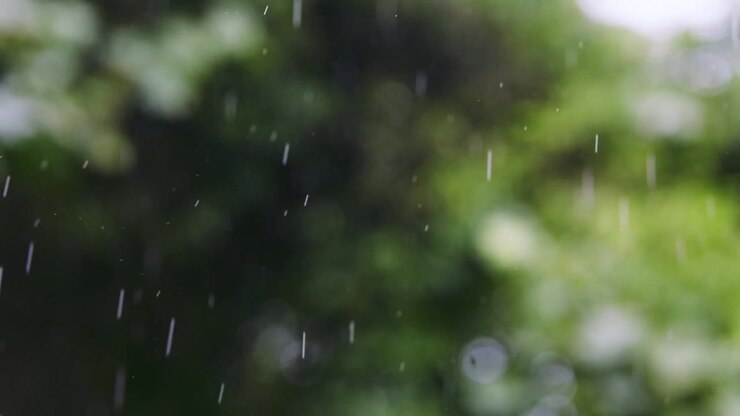 Macro Stormy Rain Weather, Bokeh Green Trees Slow Motion 4K