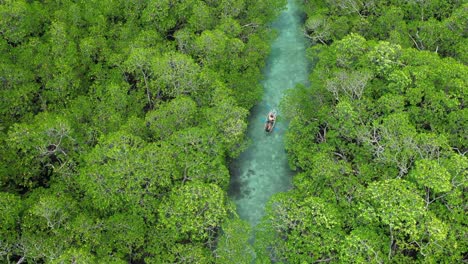 una pareja en kayak a través de un río azul turquesa rodeado por un bosque de manglares tropicales, vista aérea de los pájaros
