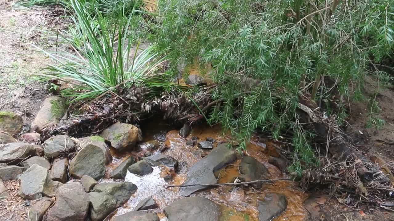 Close-up view of a stream with clear water gently flowing over smooth rocks, surrounded by lush greenery and natural textures. Captured with steady camera in natural light