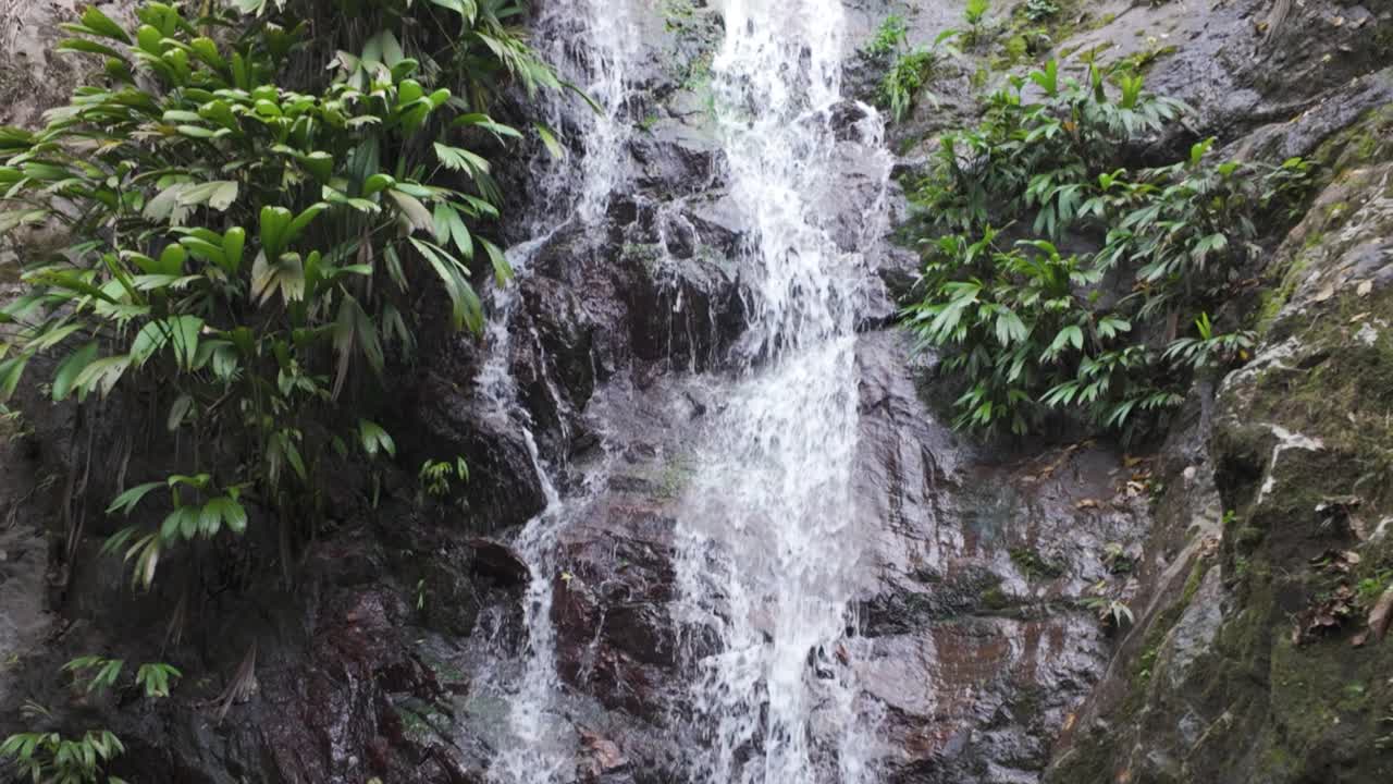 una serena cascada cae en una piscina tranquila rodeada de exuberante vegetación en minca, colombia
