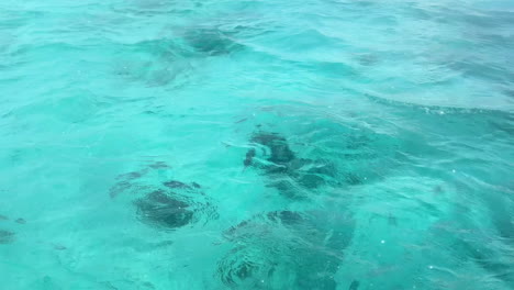 crystal clear turquoise ocean water