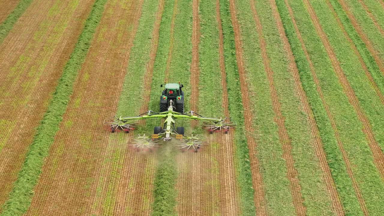 Trattore che rastrella l'erba tagliata per la preparazione della fienagione nell'Australia rurale