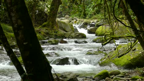 Cascading-water-fall-through-the-dark-tropical-forest-surrounded-by-mossy-rocks-and-trees