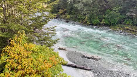 clear turquoise glacial river flows rapidly past autumn foliage and rocky banks in a lush forest. natural daylight, steady camera, wide landscape view