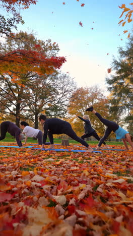 Group Yoga Session Outdoors Amidst Vibrant Autumn Leaves