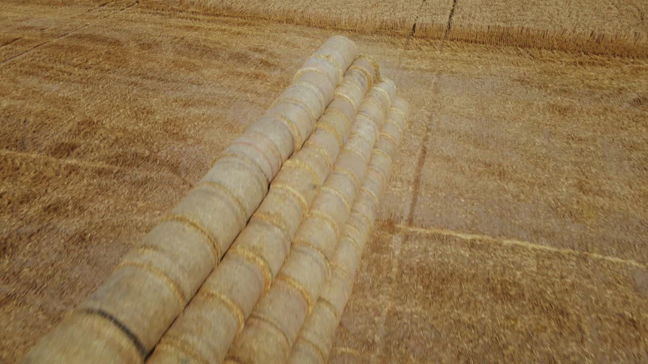 은 롤로 모여서 피라미드 모양으로 쌓여 있습니다. 수확된 곡물, 공중 사진.