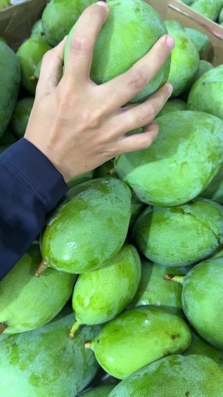 Cogliere a mano mango verde fresco da un mucchio