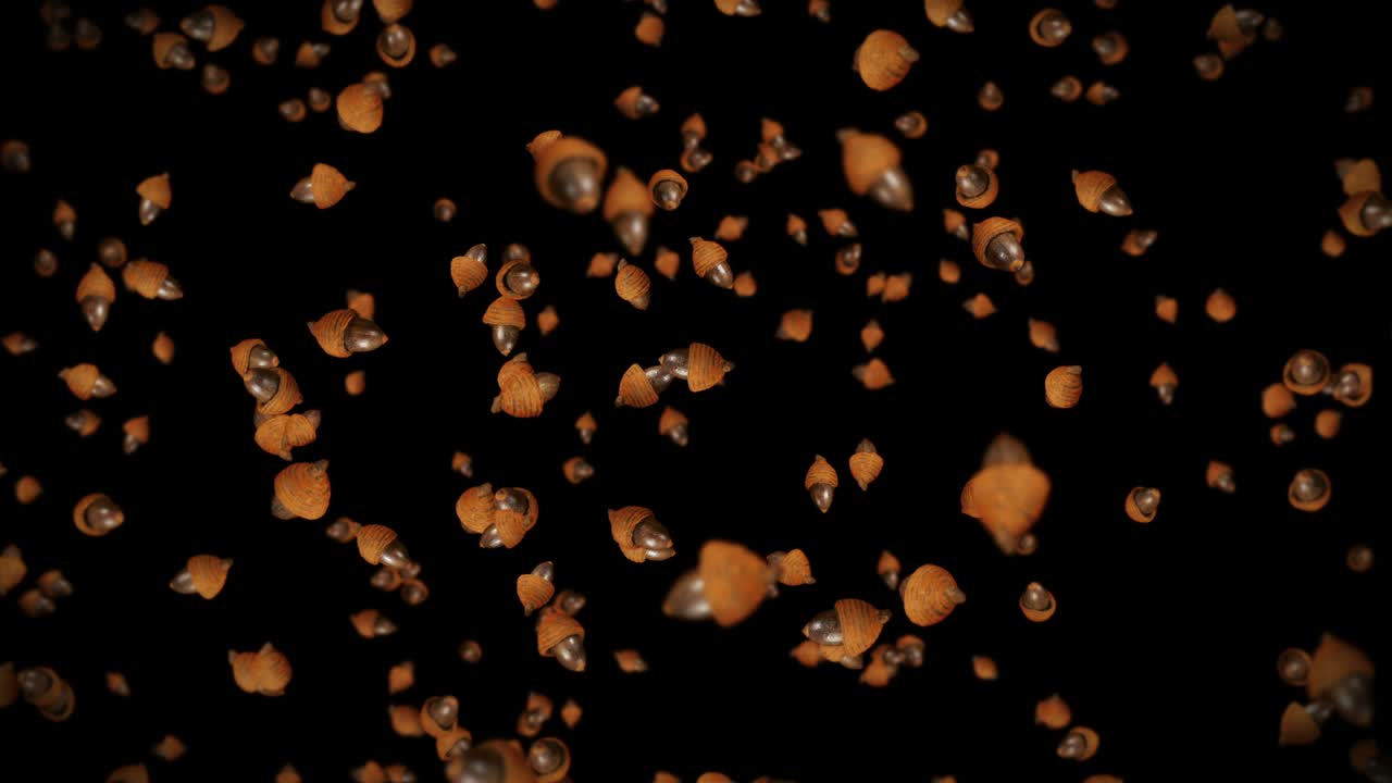volando molte ghiande autunnali su sfondo nero. simbolo dell'autunno, noci di quercia, regali d'autunnano. animazione 3d di semi di ghiande in rotazione. animazione a ciclo.