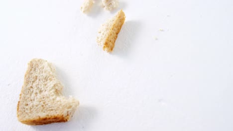 bread pieces on white background