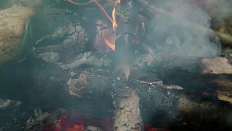 burning firewood in fireplace closeup. flame and smoke in campfire