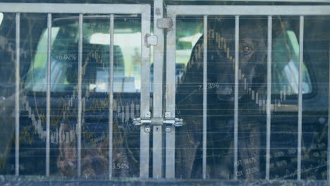 financial data chart overlay on transparent surface, dog in cage looking through