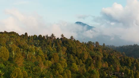gorgeous golden aerial drone view flying over dense tropical forest at sunset, sunrise