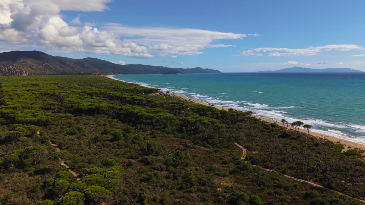 Pine tree forest, sandy beach and sea along Tuscany’s tranquil Maremma natural park. Italy aerial