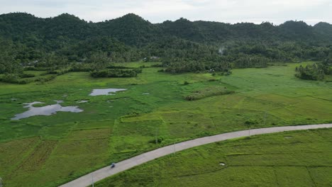 high angle aerial view of long road in middle of flat idyllic rice fields with mountainous background in catanduanes, philippines