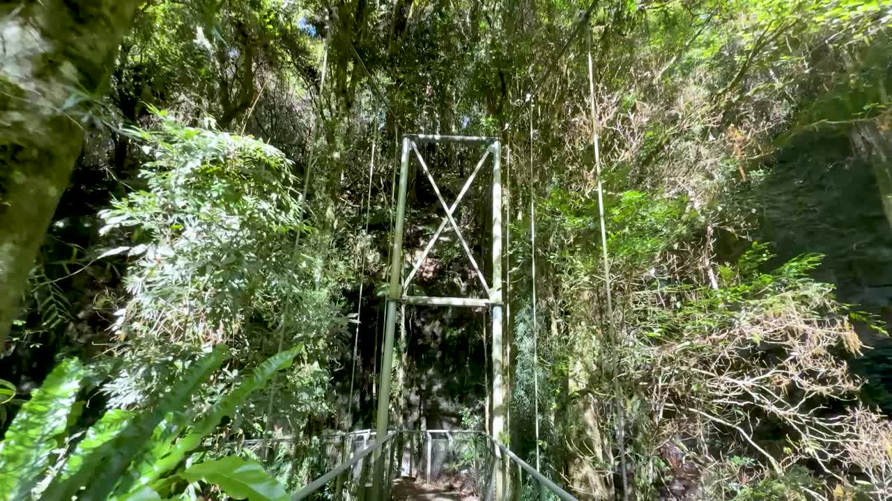 First-person view crossing a lush, sunlit suspension bridge through dense Australian rainforest foliage