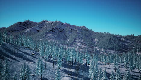 splendid alpine scenery in winter