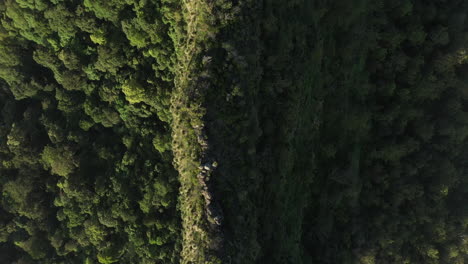 4K-Drohnenaufnahme-Eines-Mit-Bäumen-Und-Sträuchern-Bedeckten-Bergrückens-Während-Des-Sonnenuntergangs-Im-Border-Ranges-National-Park,-New-South-Wales-In-Australien