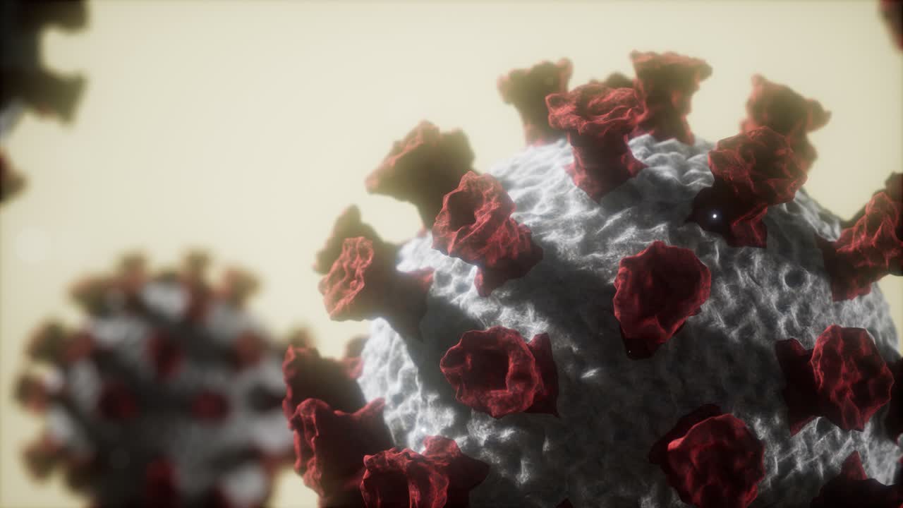 el virus de la corona covid 19 es un modelo macro