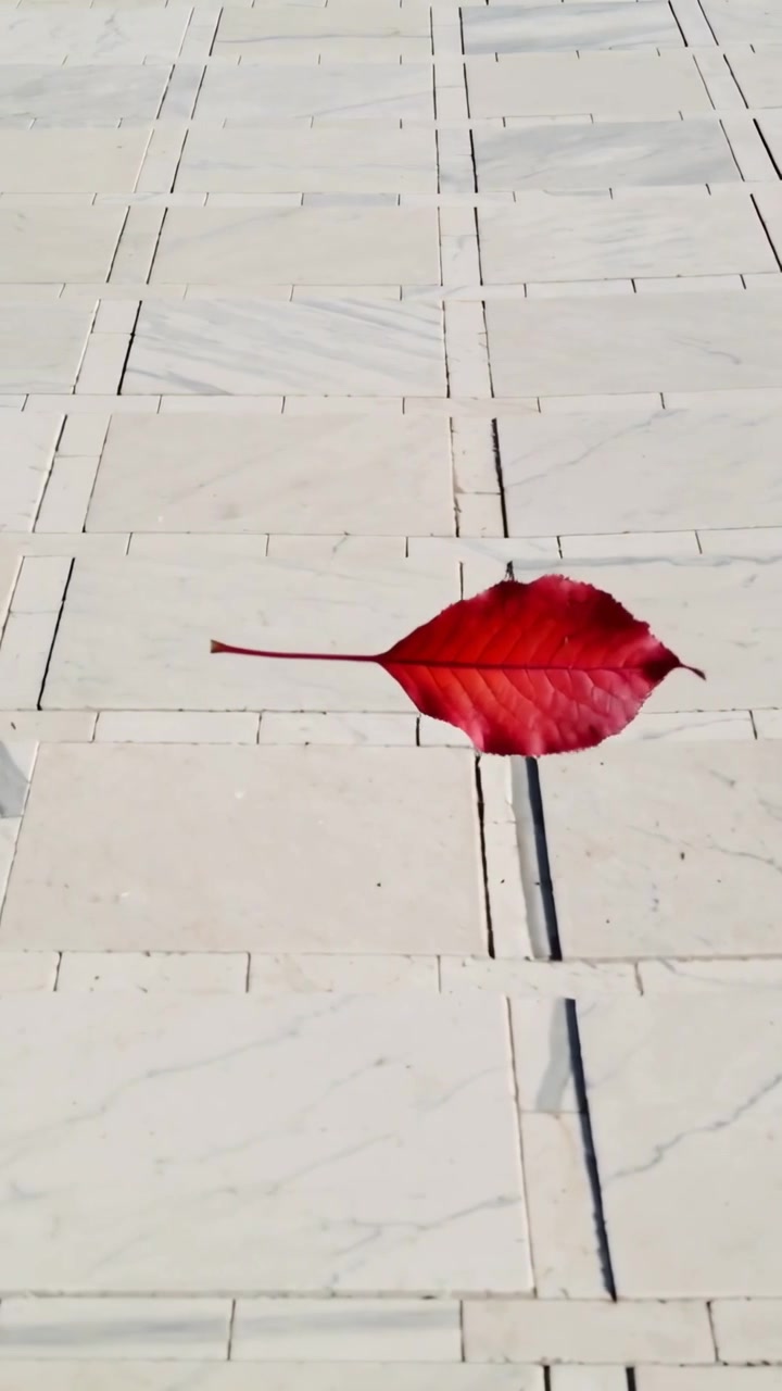Vertikales Video: Treibendes rotes Blatt dreht und kräuselt sich über gefliesten Gehweg, leichter Wind bewegt es.