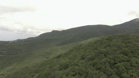 A-drone-shot-of-the-lush-tropical-forest-in-Guadeloupe,-as-the-drone-ascends-to-reveal-the-vast-expanse-of-trees