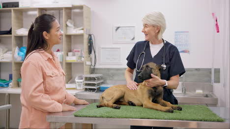 dierenarts handdruk, hond en gelukkige vrouw