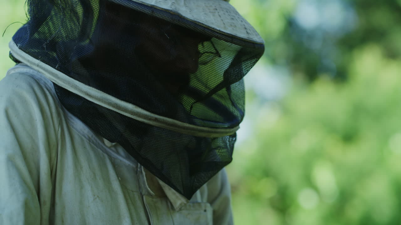 rastreando todo en línea