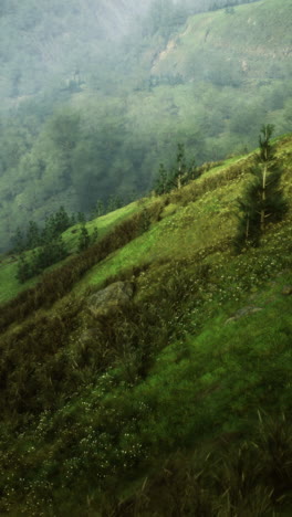 lush green hills with mist over a tranquil valley at sunrise