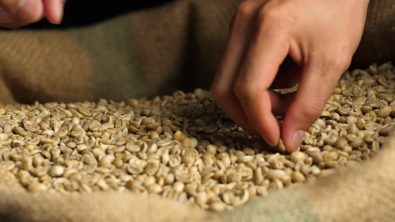 Hand Picked Green Unroasted Coffee Beans In Sack Bag, Slow Motion