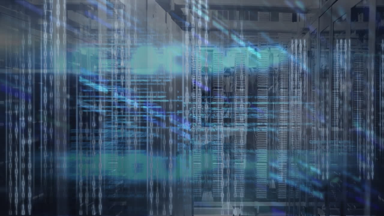 Animation of data processing over computer servers