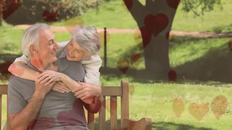 Senior-couple-sitting-on-a-bench-in-a-park--