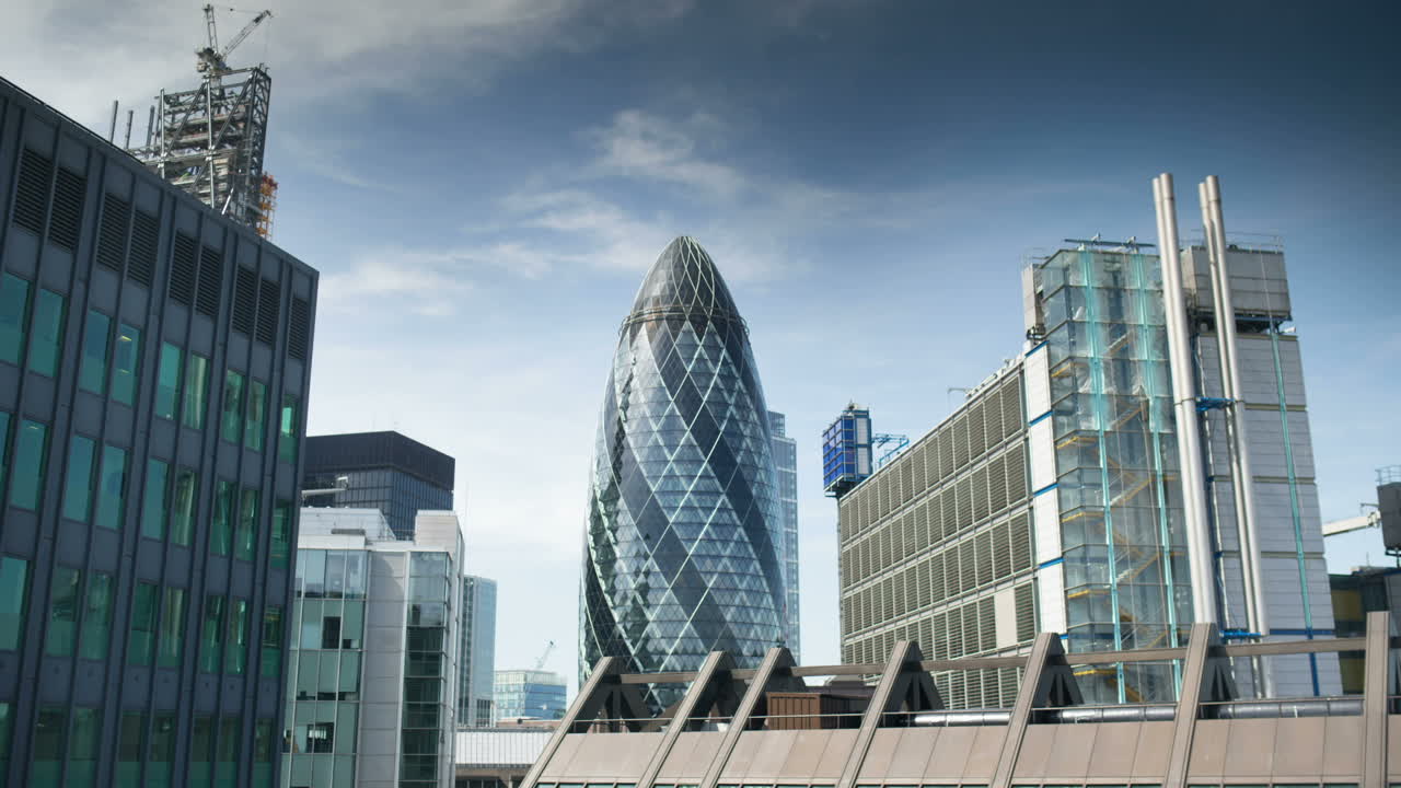 작은 오이 뷰 13