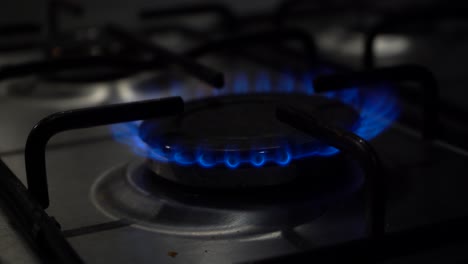 dark close up: blue flames ignite from gas stove burner, then go out