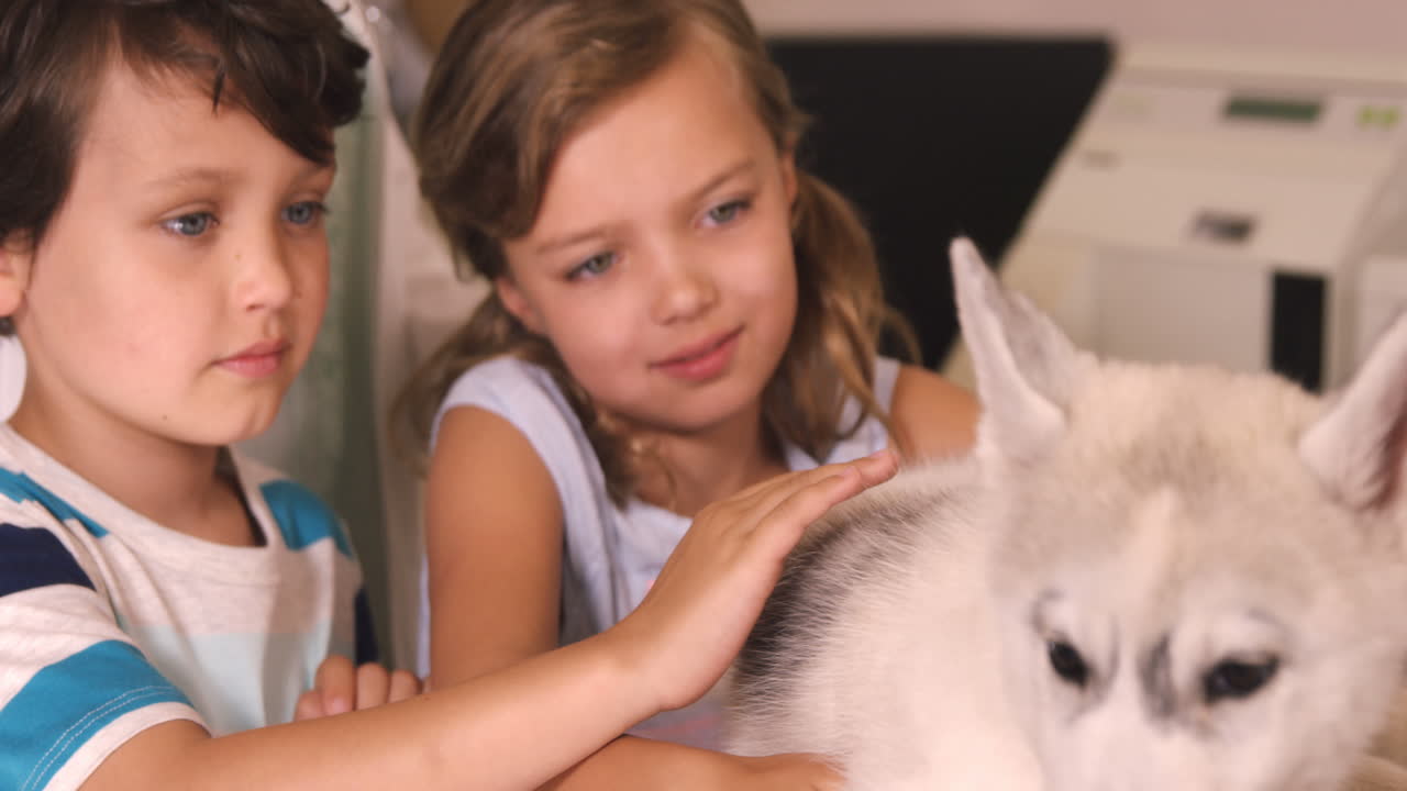 아이들이 개를 만지는 것