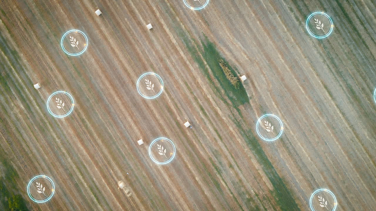 ingeniero agrícola en un campo, comprobando la calidad de los haces de caña - renderizado en 3d