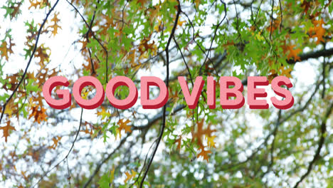 animación de buenas vibraciones texto sobre árboles de otoño