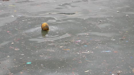 plastic pollution in the ocean