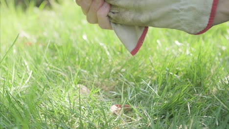 man takes off leather work gloves and left on the green lawn in the garden after working