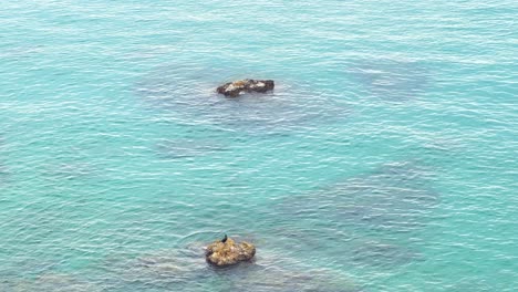 Aerial-view-of-one-cormorant-perched-on-a-rock-in-the-sea-as-the-calm-waters-crash