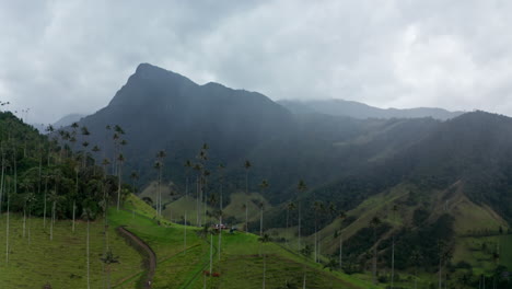 Vista-Aérea-Por-Drones-Del-Valle-De-Cocora,-Salento,-Colombia