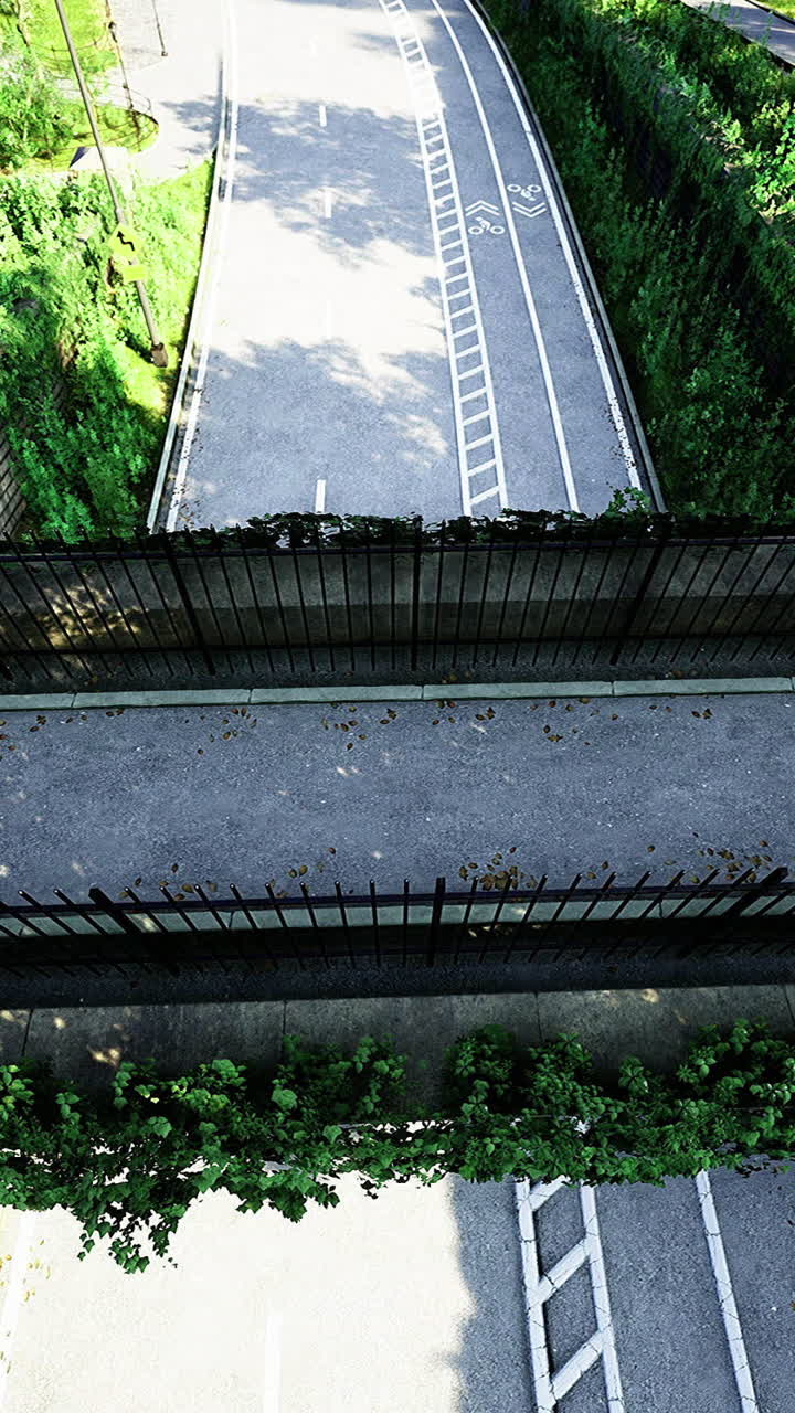 Elevated view of a pathway surrounded by lush greenery in a tranquil park