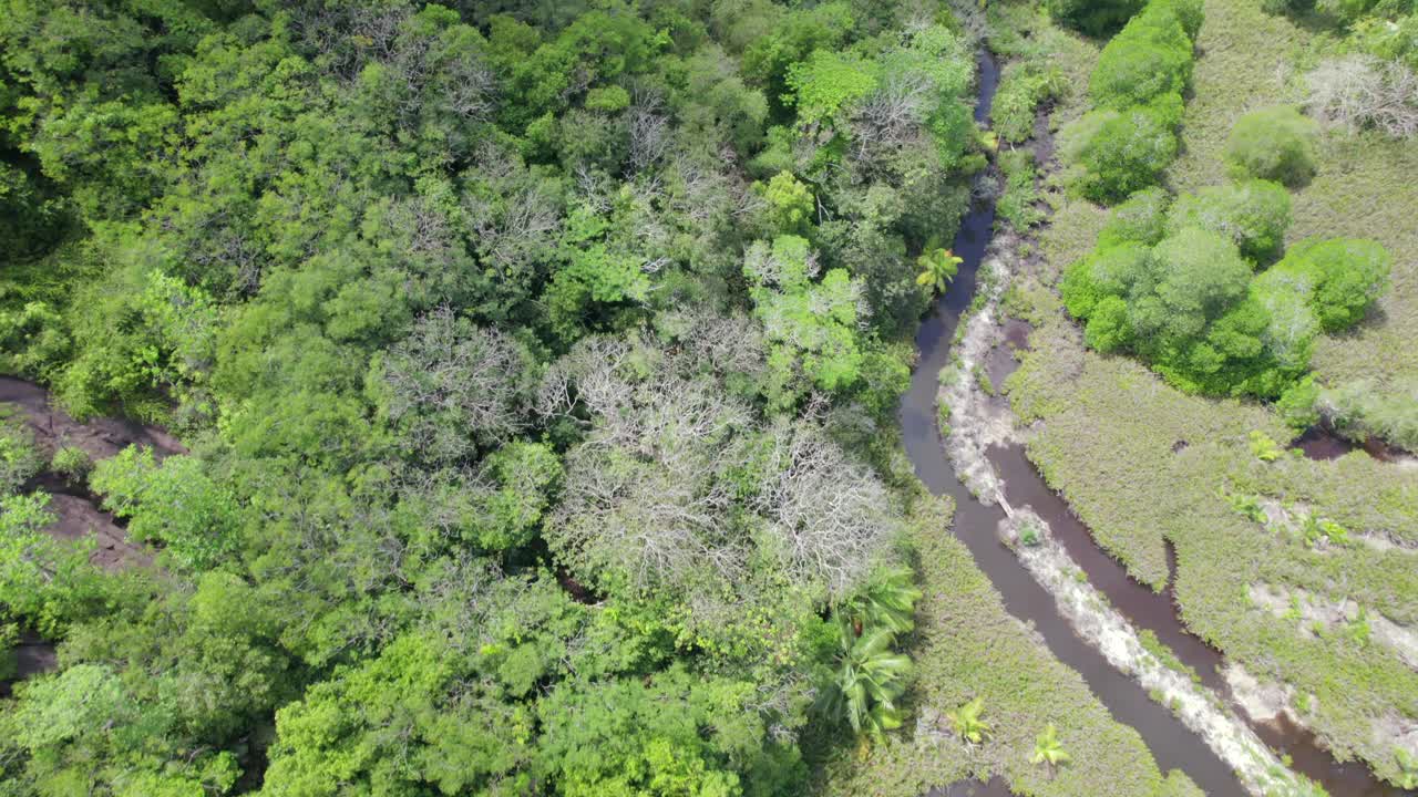 Drone footage of cap ternay mangrove, Mahe Seychelles 30fps 9