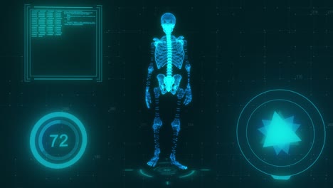 technological concept. walking 3d model of a skeleton on the background of technology. blue color. 3d animation