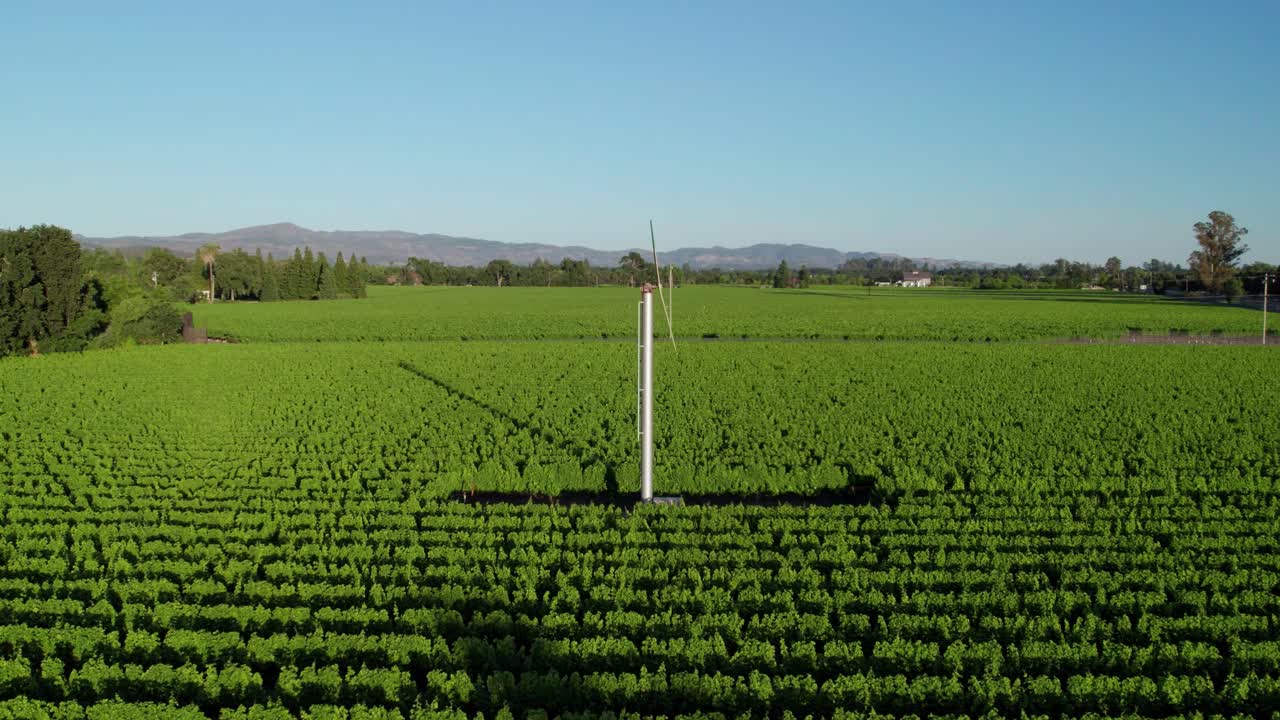 파파  ⁇ 리 포도 ⁇  위 의 매혹적 인 공중 사진, 푸른 포도 ⁇  에서 포도 ⁇  바람 기계 를 보여 주는