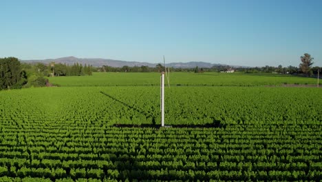 Captivating-Aerial-over-a-Napa-Valley-Vineyard,-showing-Vineyard-Wind-Machine-in-lushes-green-vineyard