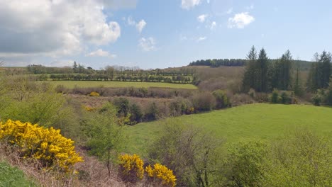 Waterford-Greenway-üppiges-Ackerland-In-Der-Nähe-Von-Kilmacthomas-An-Einem-Warmen-Frühlingstag