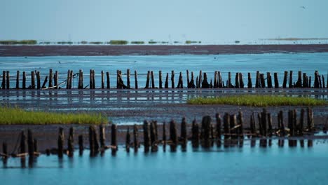 a gloomy coastal landscape