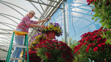 woman hanging flower basket in greenhouse