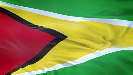 guyana flag waving in the wind with highly detailed fabric texture. seamless loop
